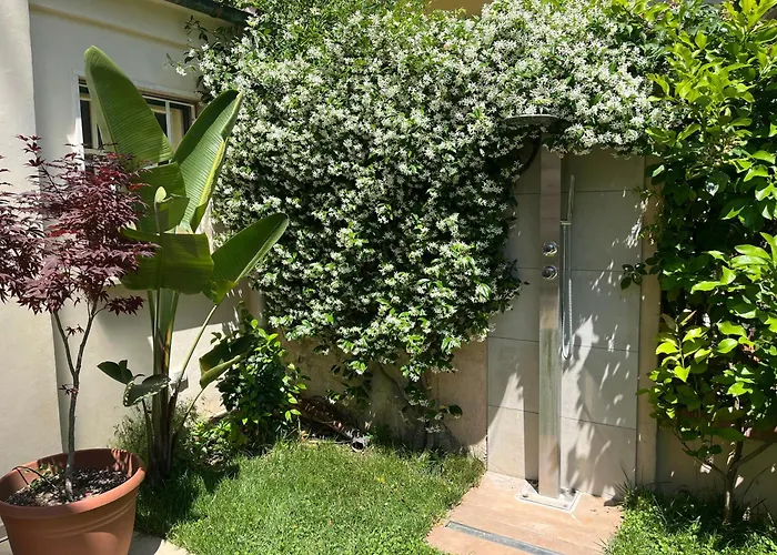 Monolocale Pura Vida * Viareggio